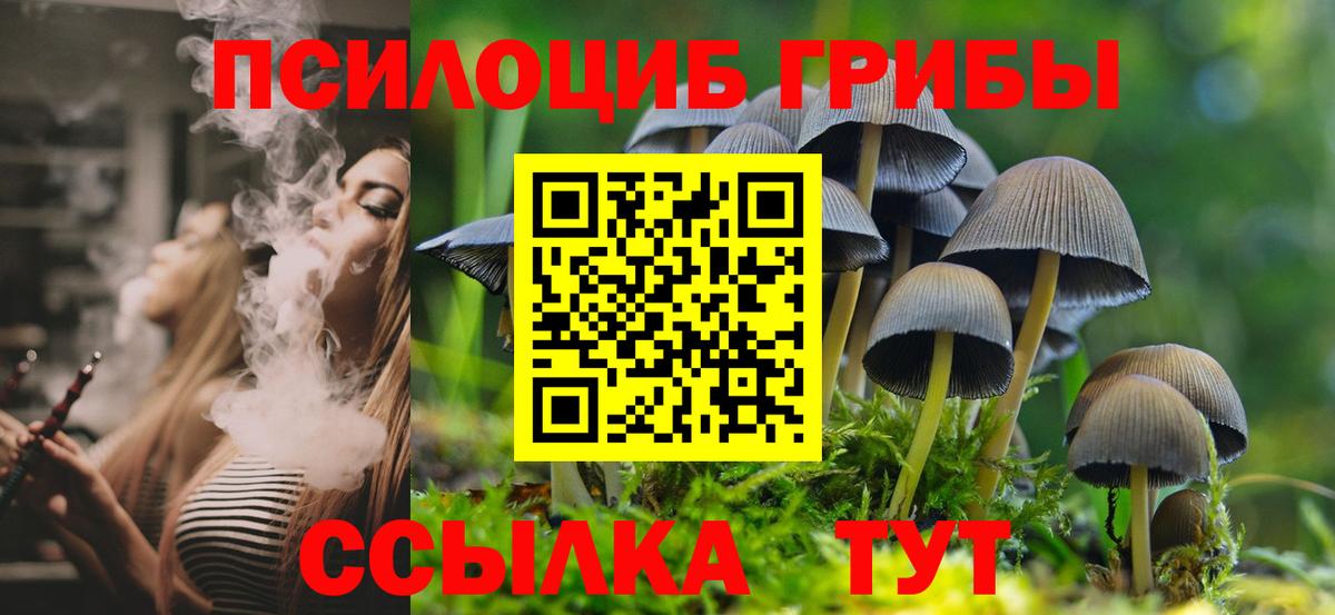 Псилоцибиновые грибы Magic Shrooms Заволжье