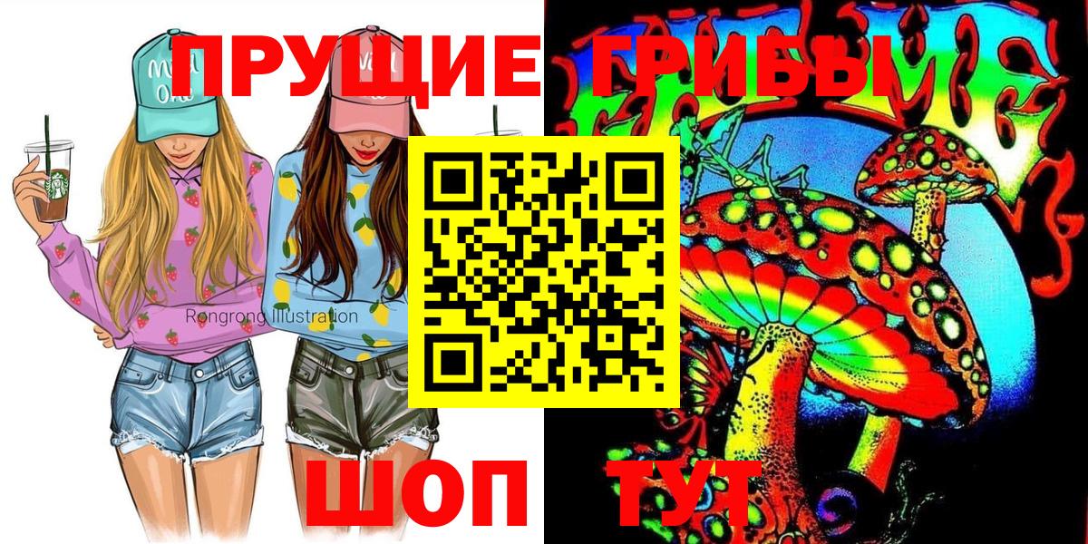 Заволжье  Галлюциногенные грибы Psilocybine cubensis  Вход с VPN  Псилоцибиновые грибы мицелий 